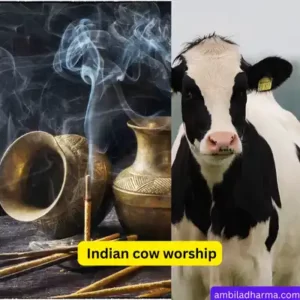 Worshipping Indian Cow